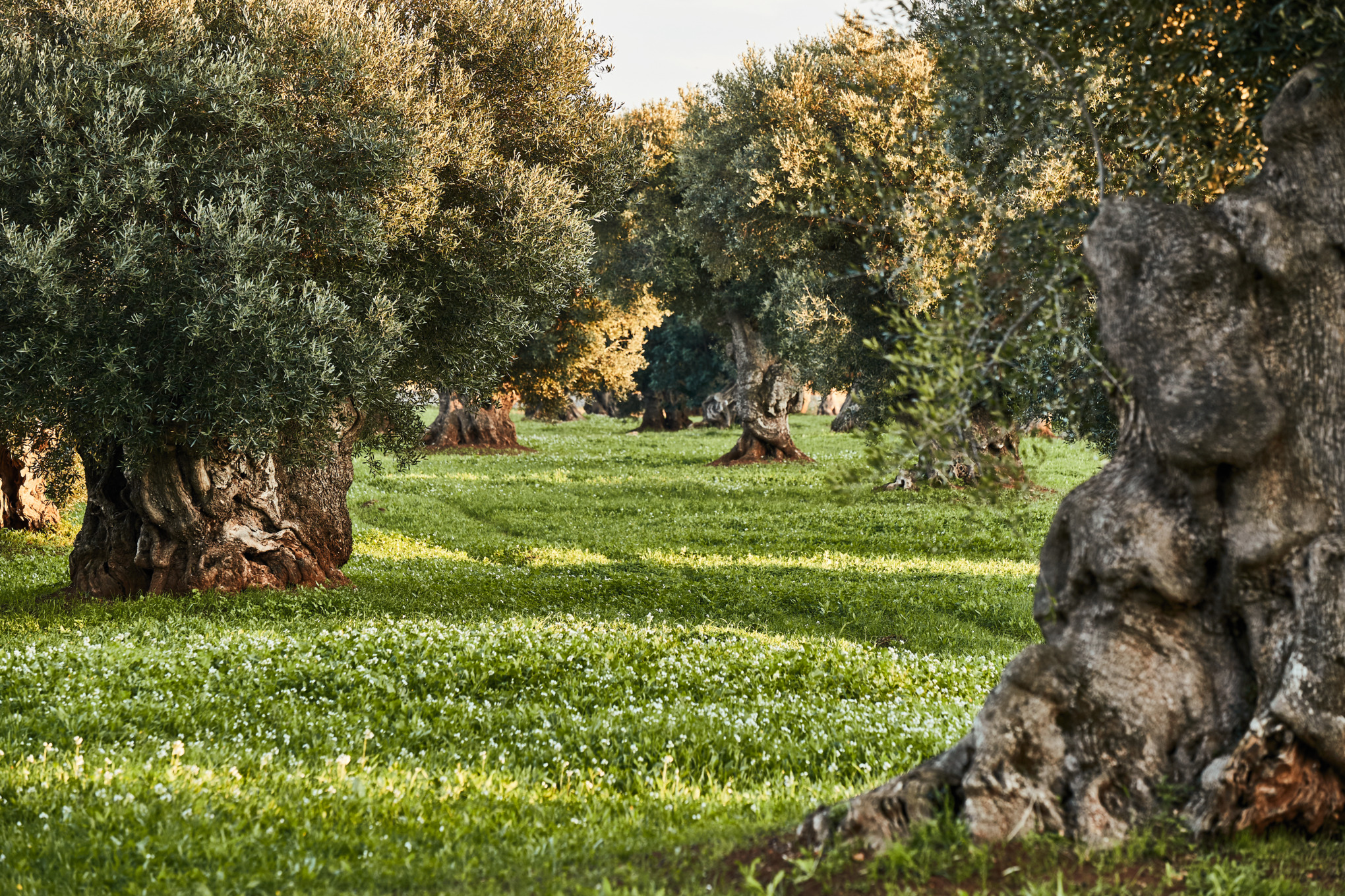 プライバシーポリシー サプライヤー