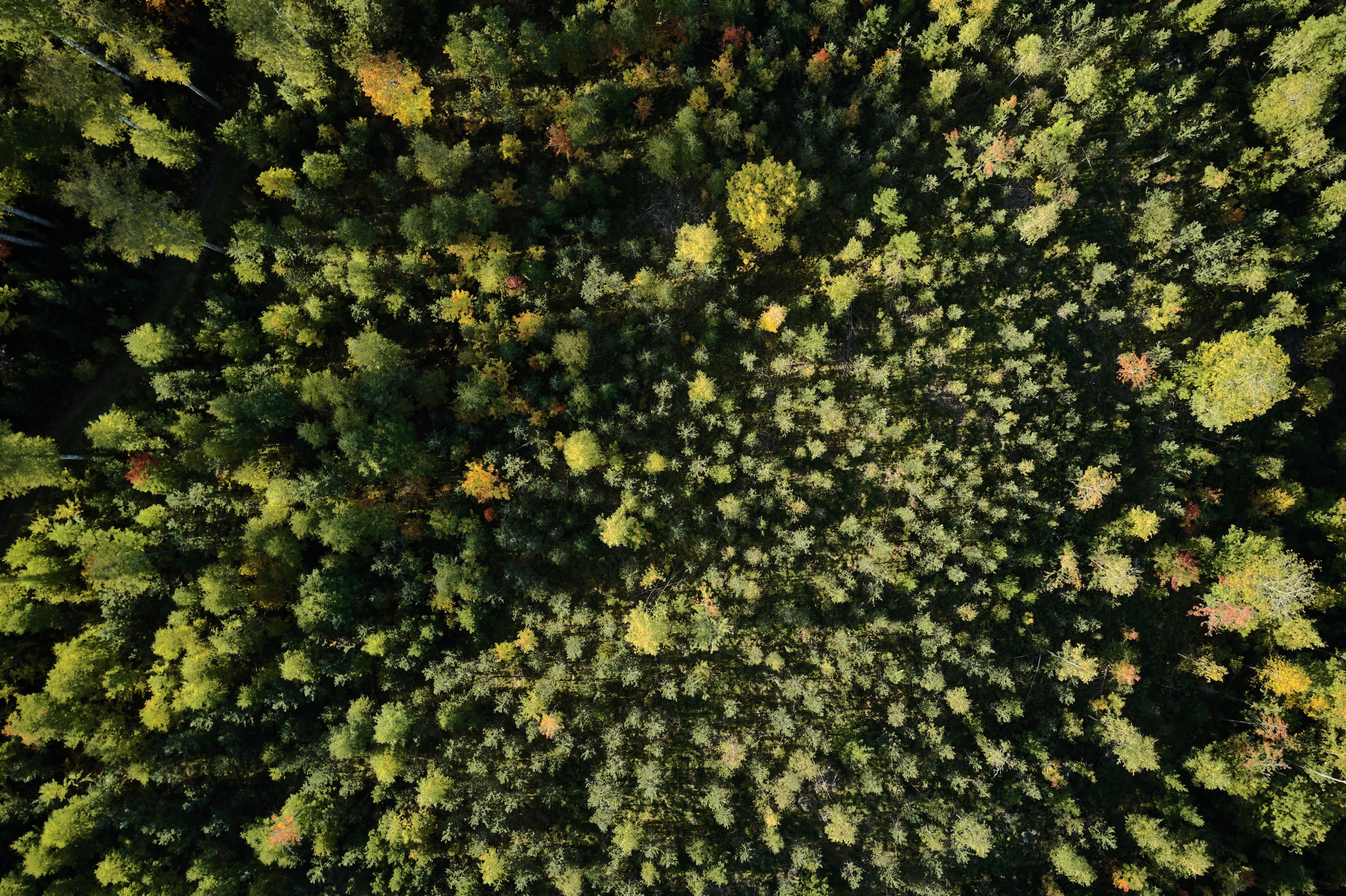 私たちの価値観