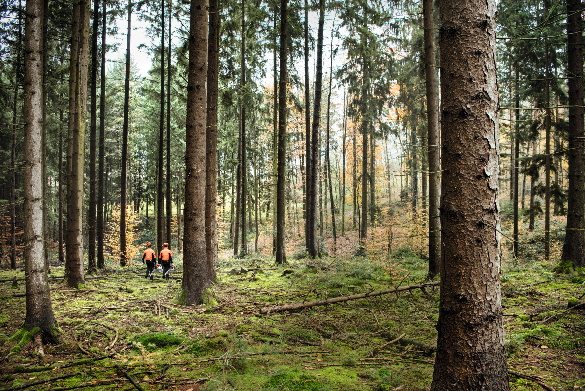 企業としてのSTIHL